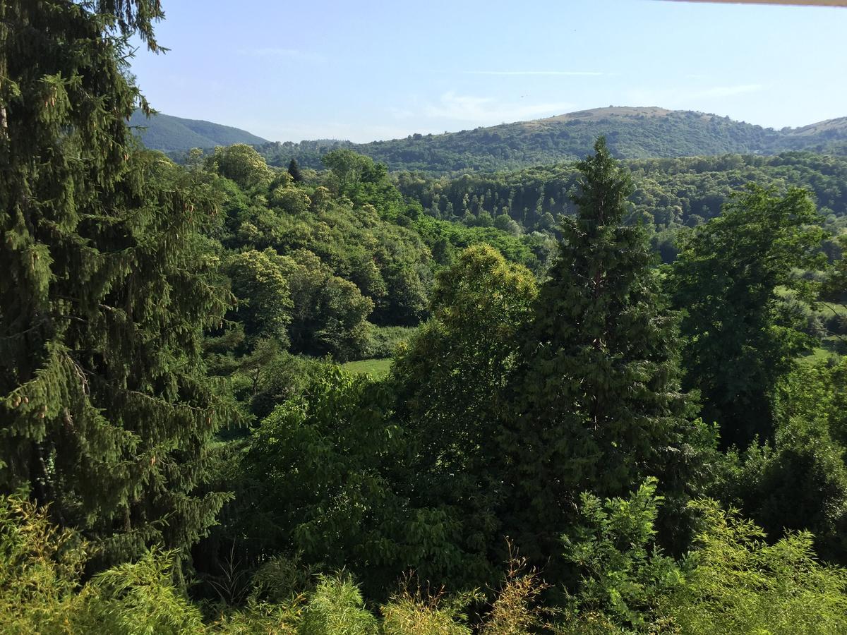 Hotel Ludovici Fiuggi Esterno foto